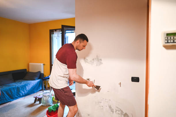 Best Commercial Mold Removal  in Eastover, NC